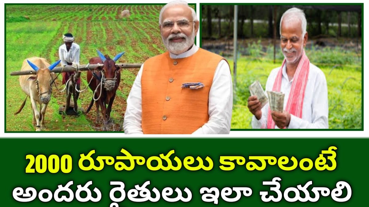 Pm kisan list release